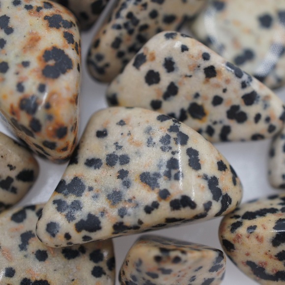 (2) Tumbled Dalmatian Jasper Stones - Picture 3 of 4